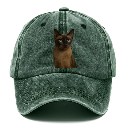 tonkinese-playful-spirit Hat