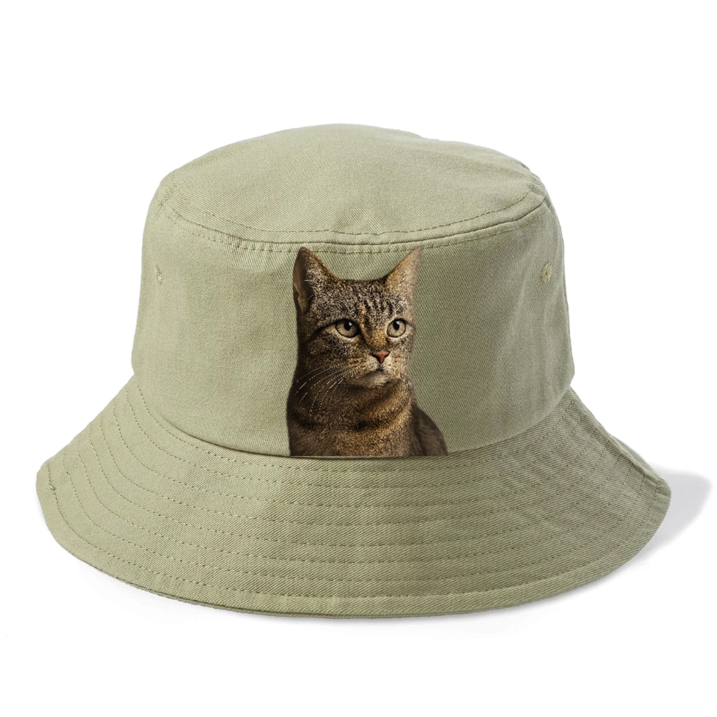 stray-cat-resilient-spirit Hat