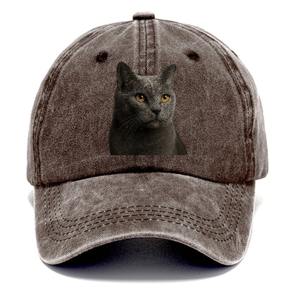 chartreux-quiet-grace Hat
