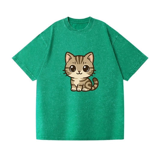 american-shorthair-charming-cat Hat