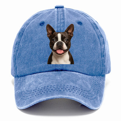 boston terrier: dapper & devoted companion Hat