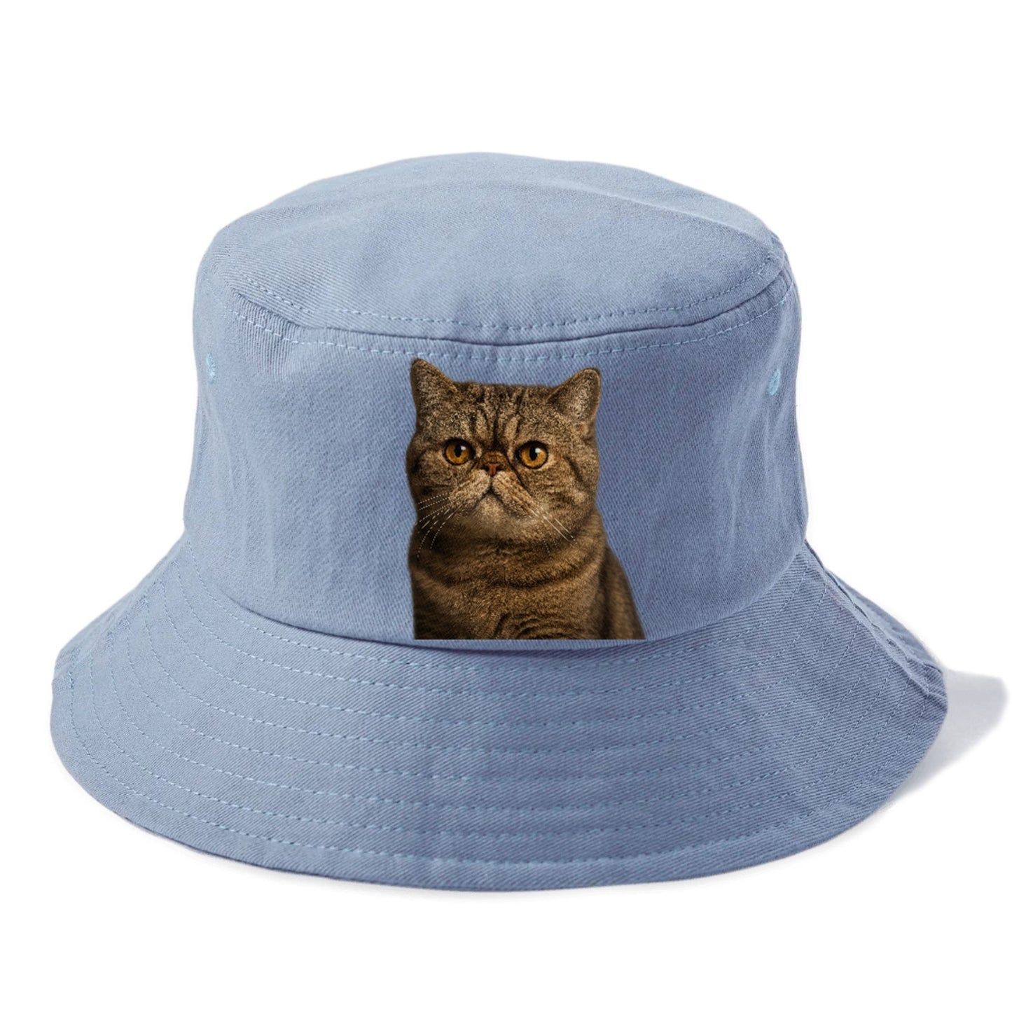 exotic-shorthair-charm Hat