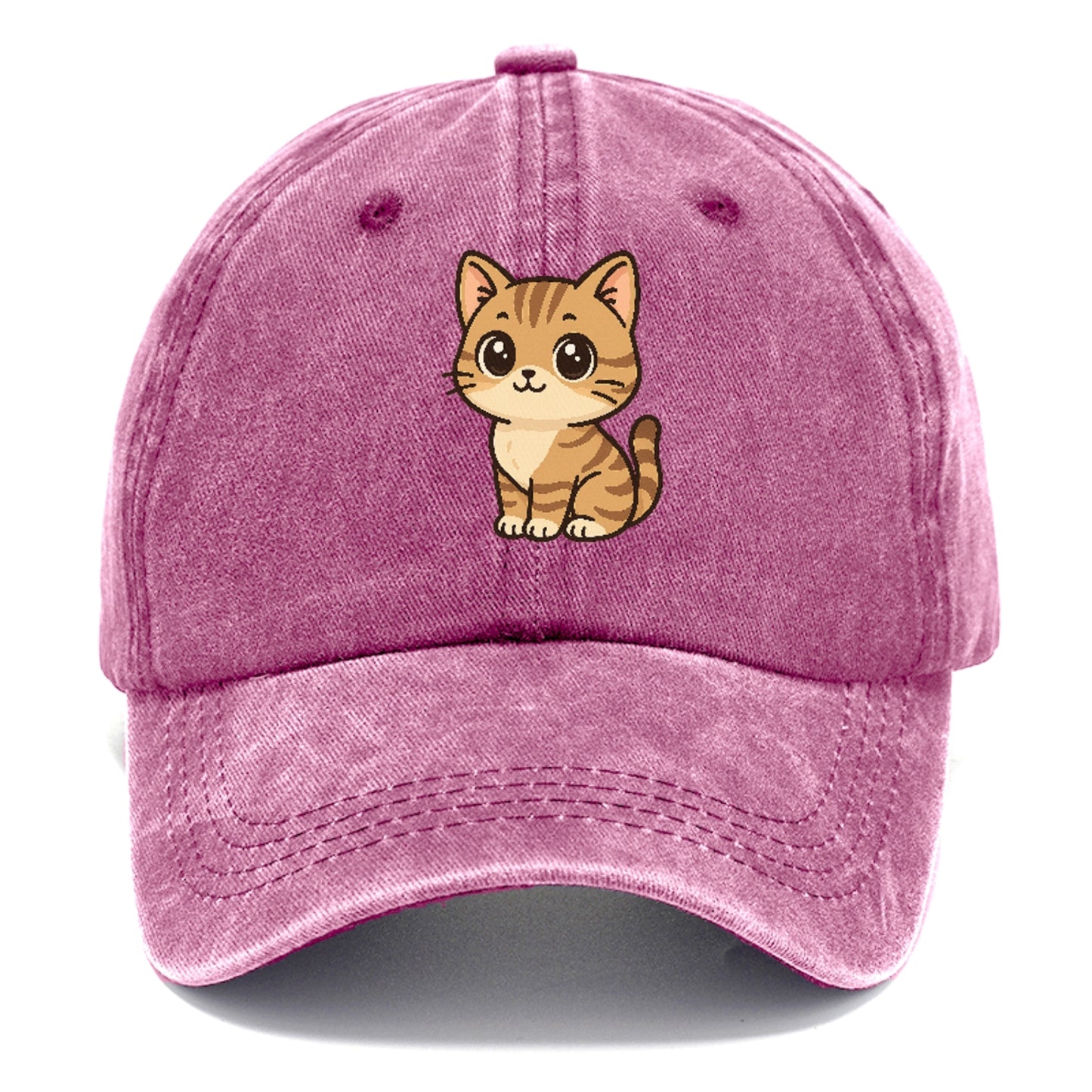 domestic-shorthair-cozy-comfort Hat