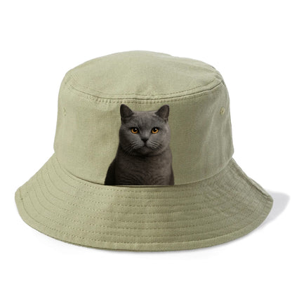 british shorthair dignified charm Hat