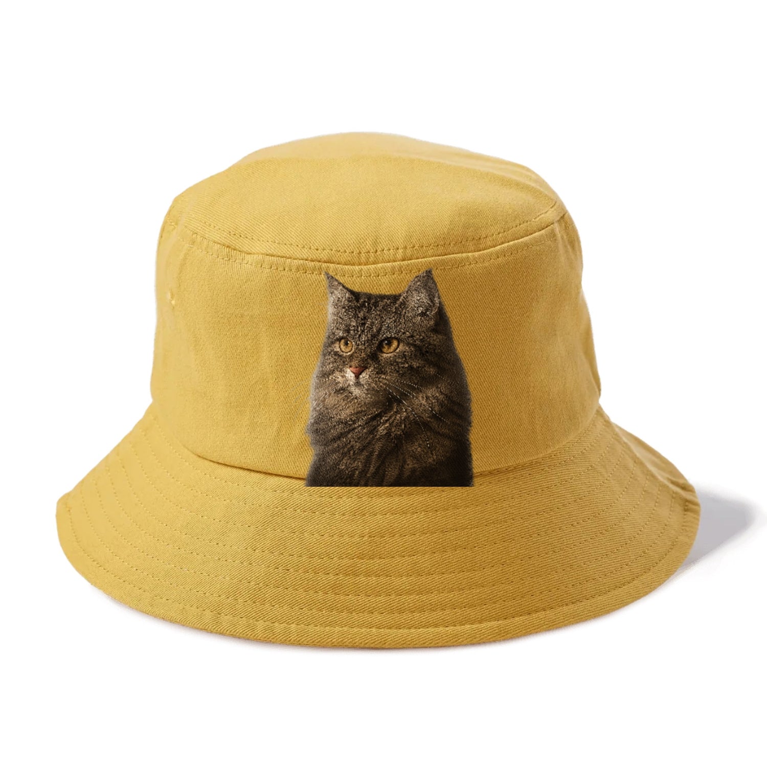 domestic-longhair-graceful-charm Hat