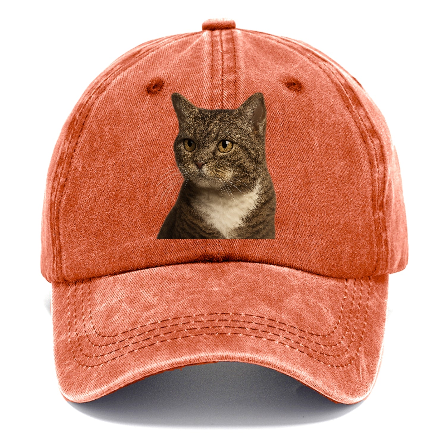 american-wirehair-unique-charm Hat