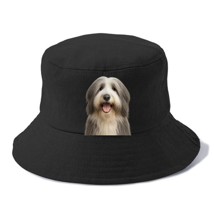 bearded collie: whimsical wanderer Hat