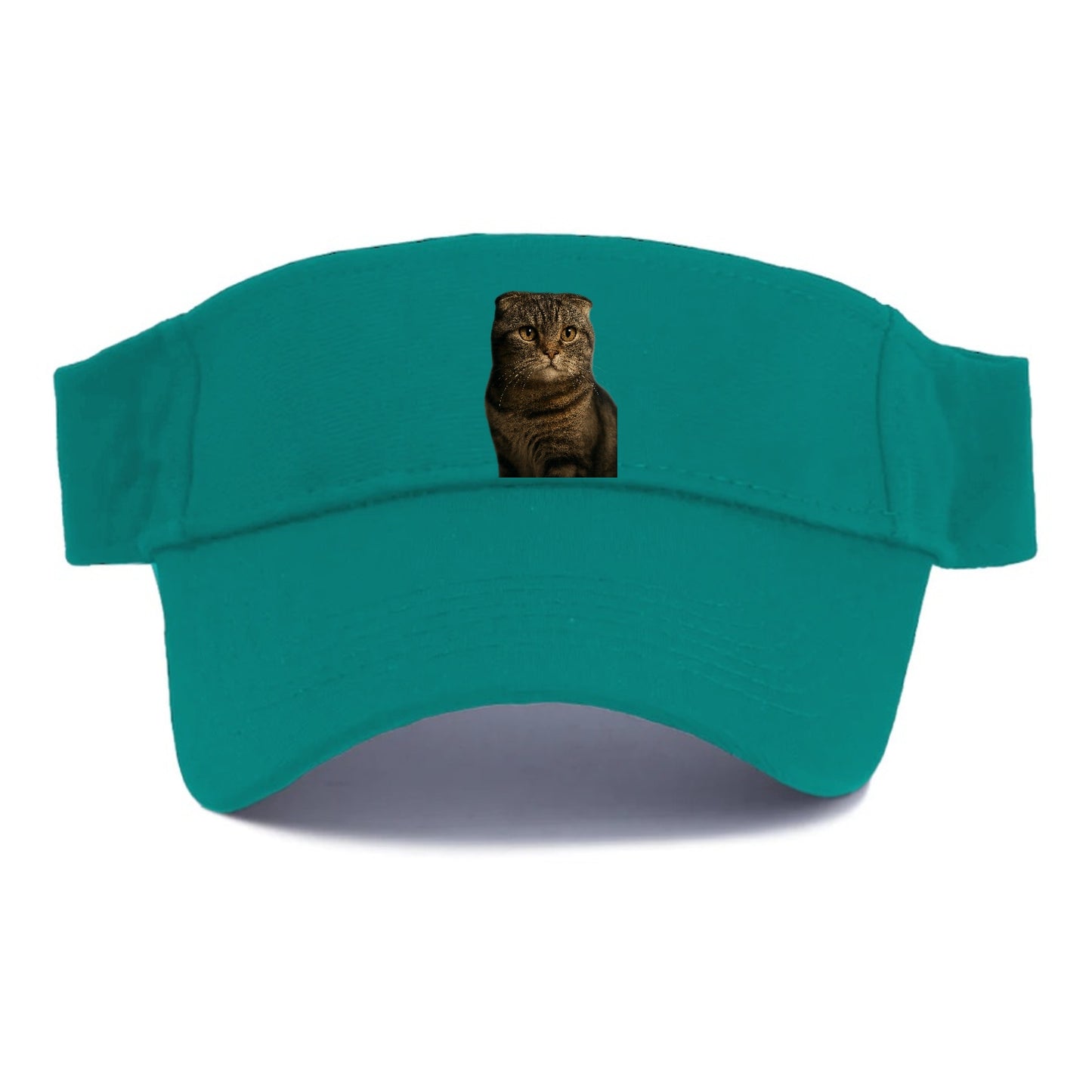 scottish-fold-curious-charm Hat