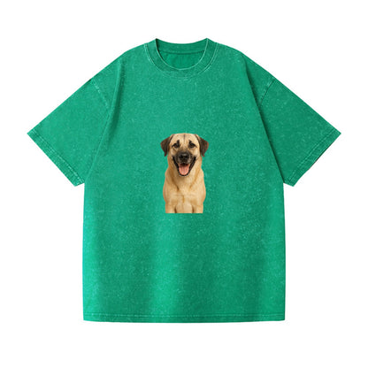 anatolian shepherd portrait design Hat