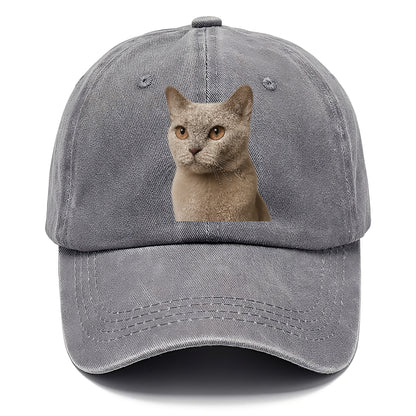lilac-cat-playful-spirit Hat