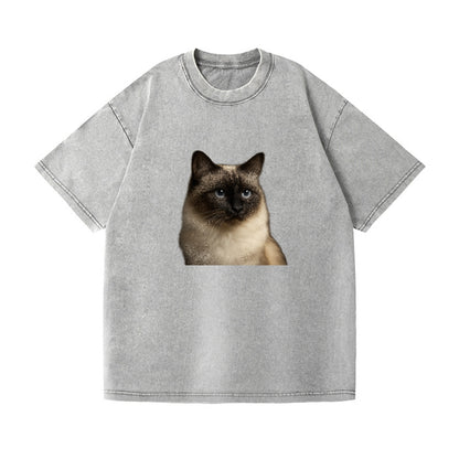 birman-cat-serene-elegance Hat