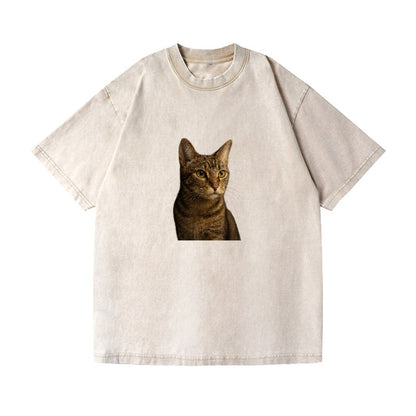 playful-cat-playful-spirit Hat