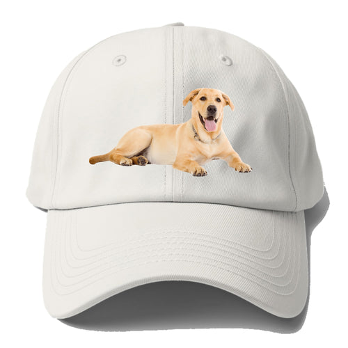 Labrador Laying Down Baseball Cap For Big Heads