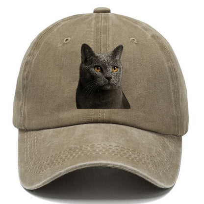 chartreux-quiet-grace Hat