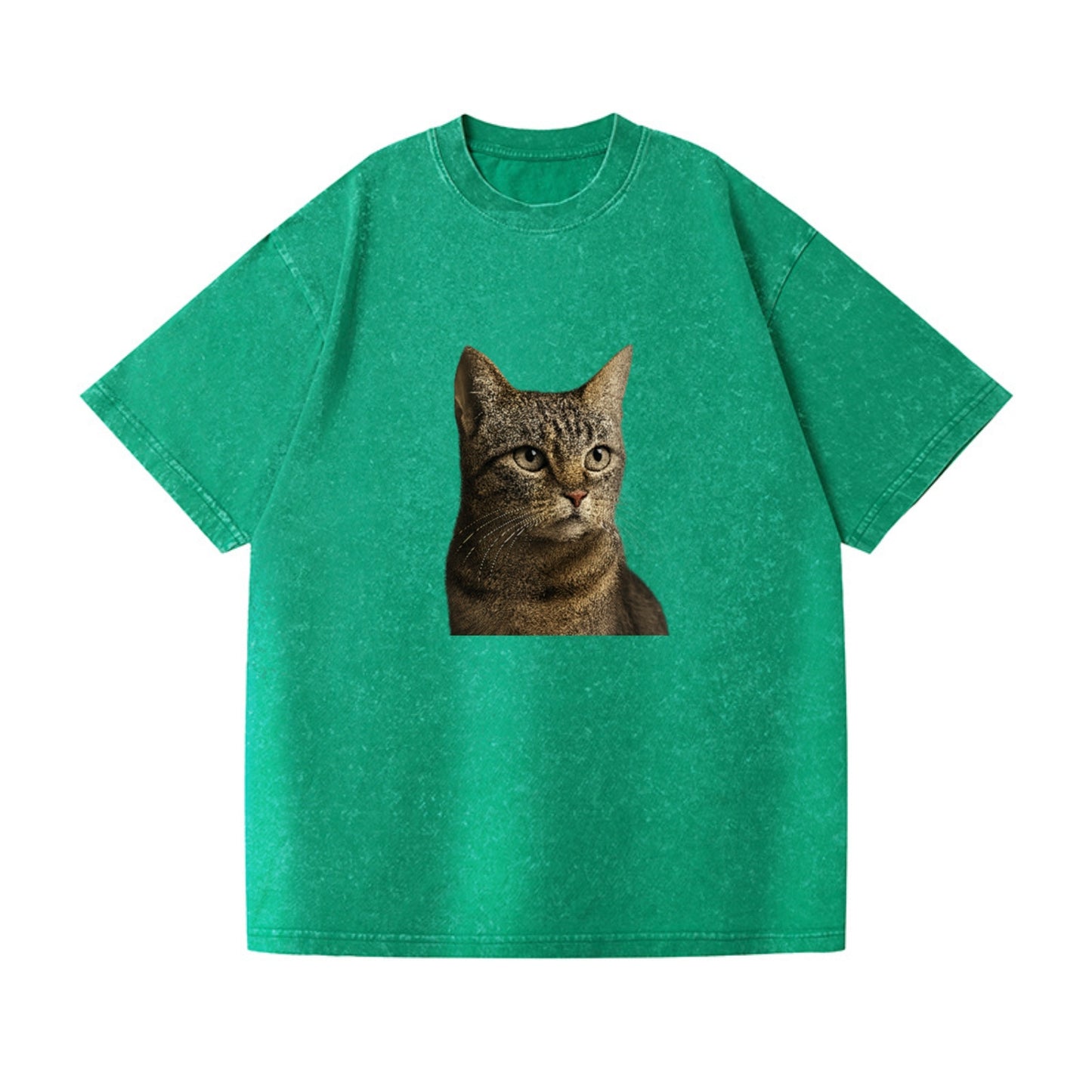 stray-cat-resilient-spirit Hat