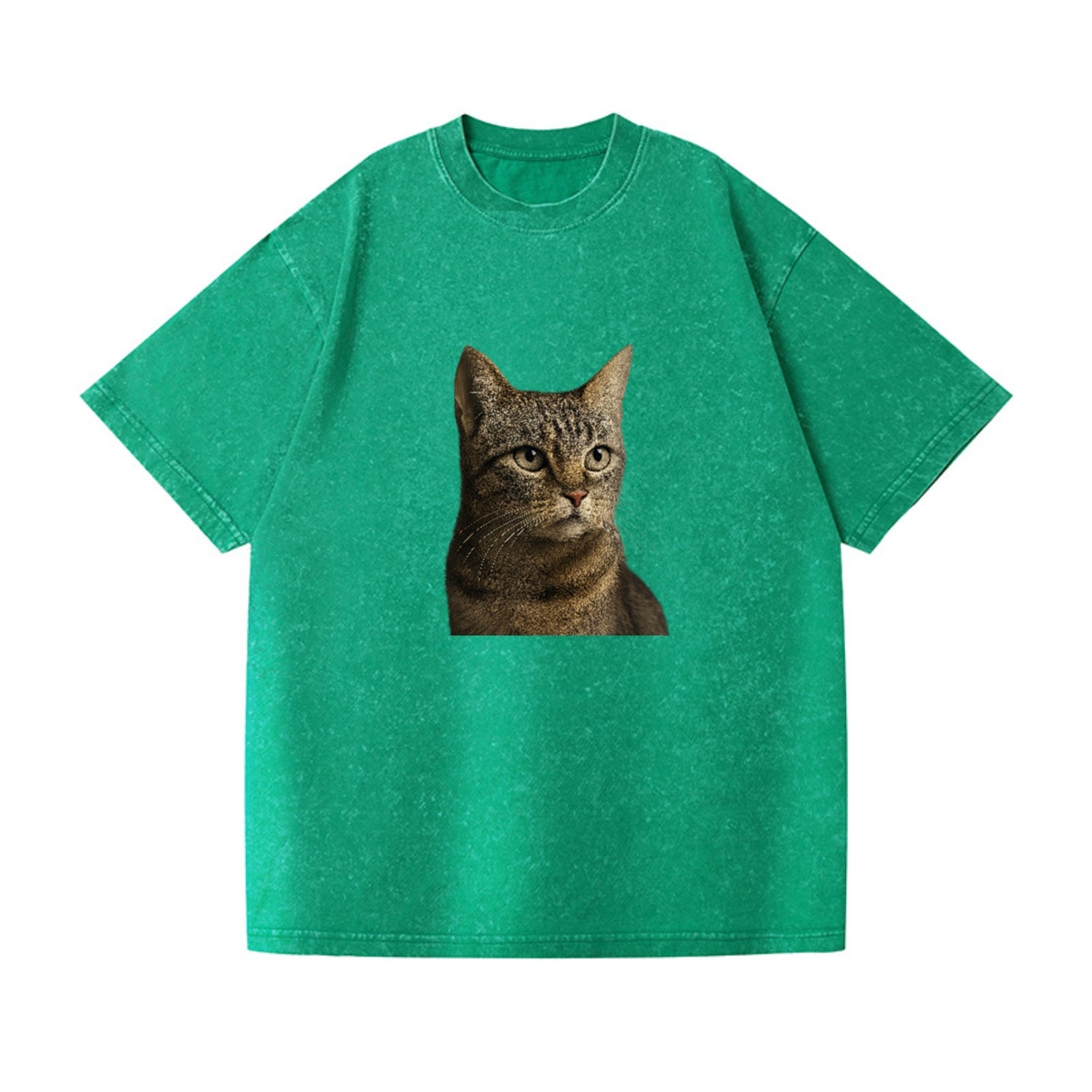 stray-cat-resilient-spirit Hat