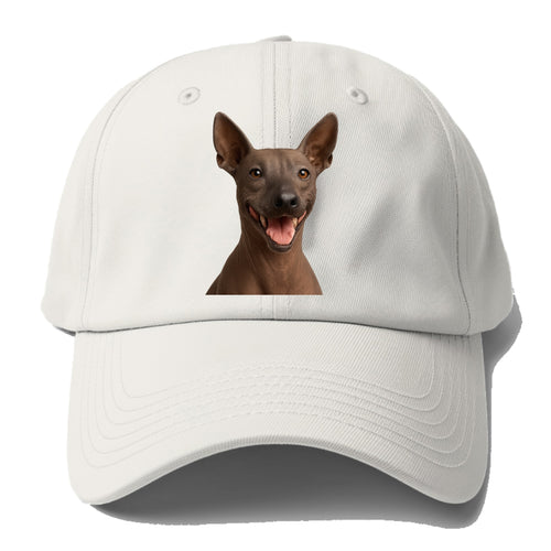 Wonder Baseball Cap For Big Heads