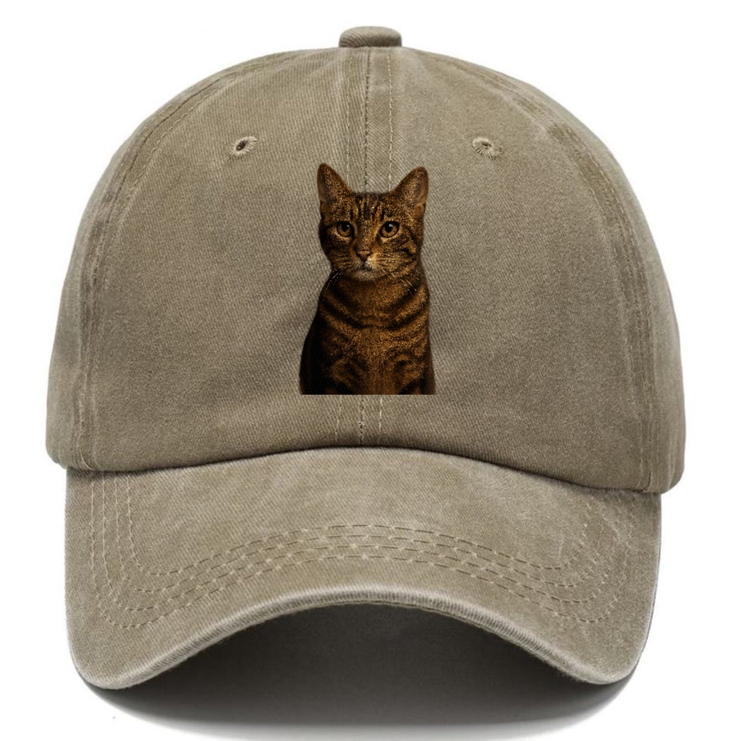 brown-tabby-playful-spirit Hat