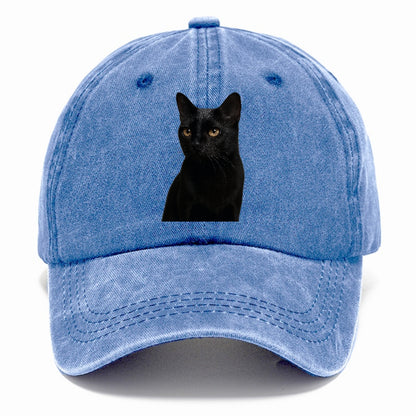 bombay-sleek-mystique Hat