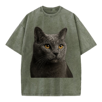 chartreux-quiet-grace Hat