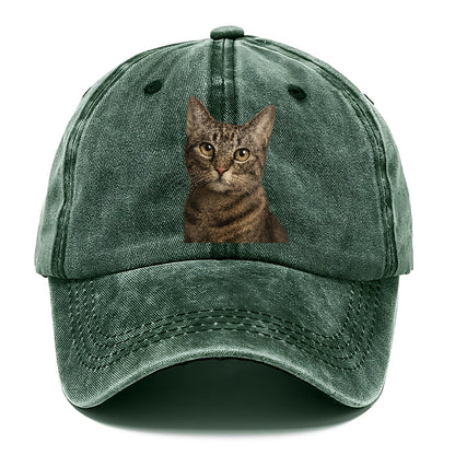 curious-cat-inquisitive-nature Hat
