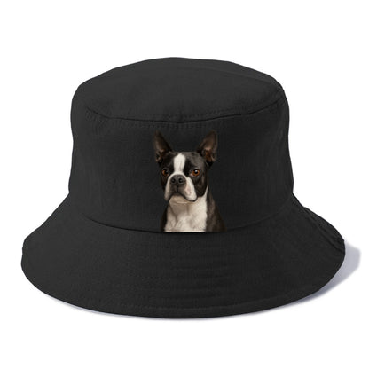 boston terrier portrait design Hat