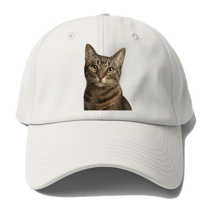 curious-cat-inquisitive-nature Hat