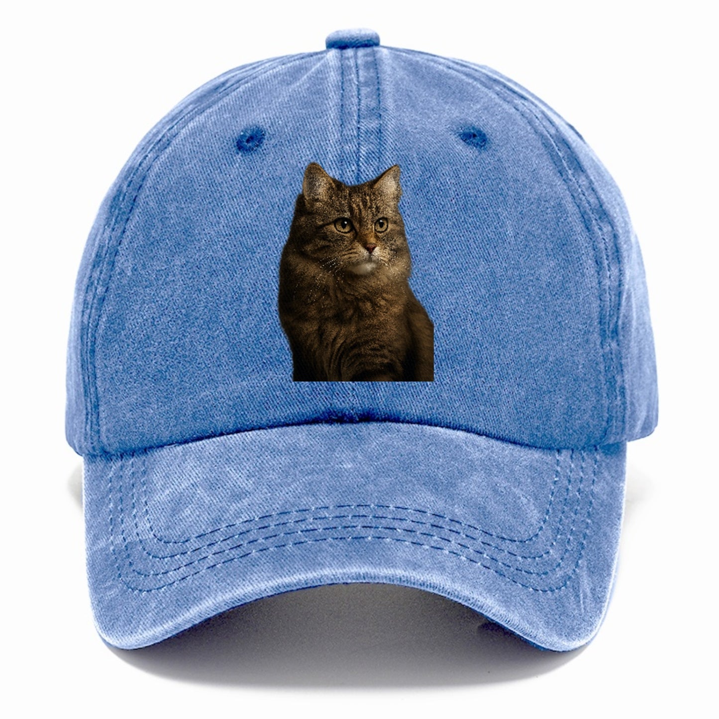 domestic-longhair-graceful-flow Hat