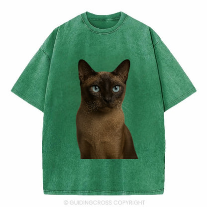 tonkinese-playful-spirit Hat