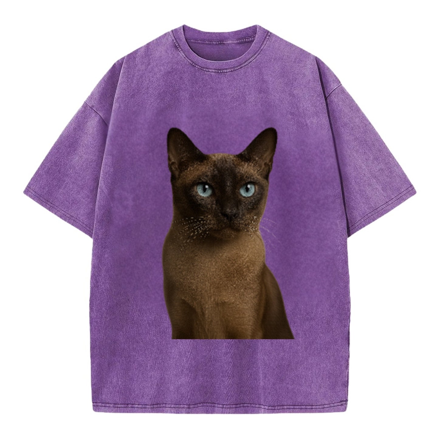 tonkinese-playful-spirit Hat