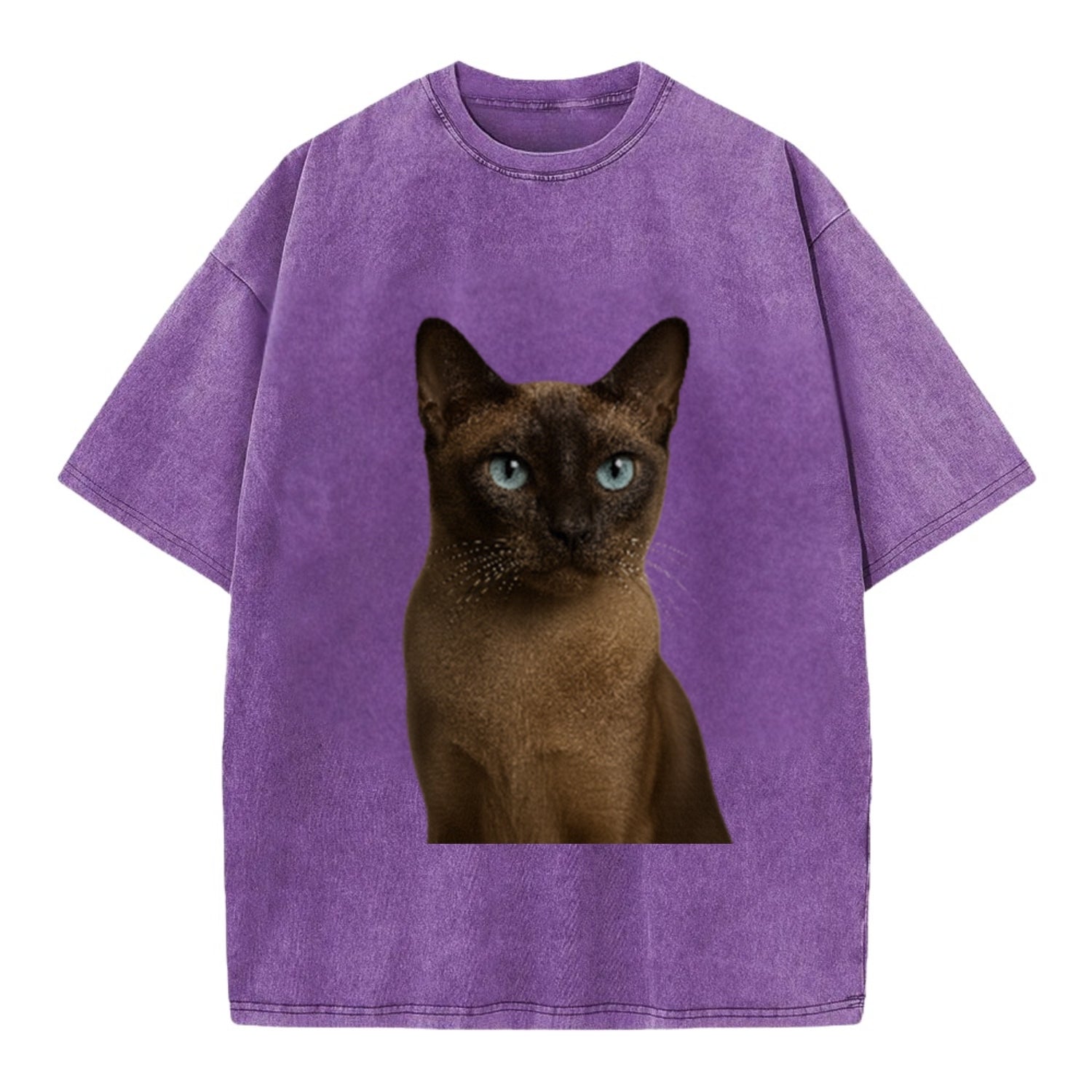 tonkinese-playful-spirit Hat