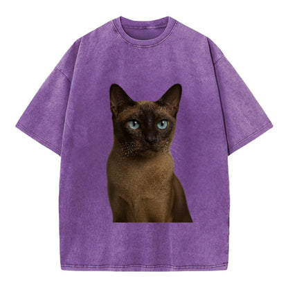 tonkinese-playful-spirit Hat