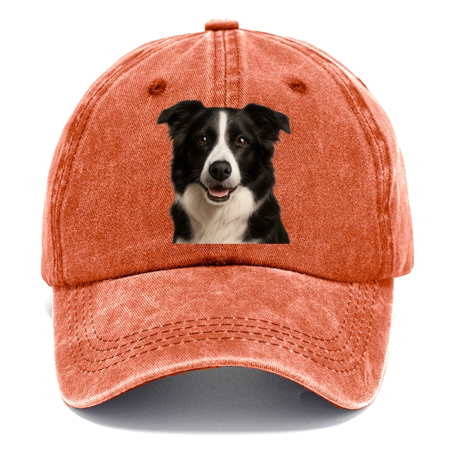 border collie: agile mind, loyal heart Hat