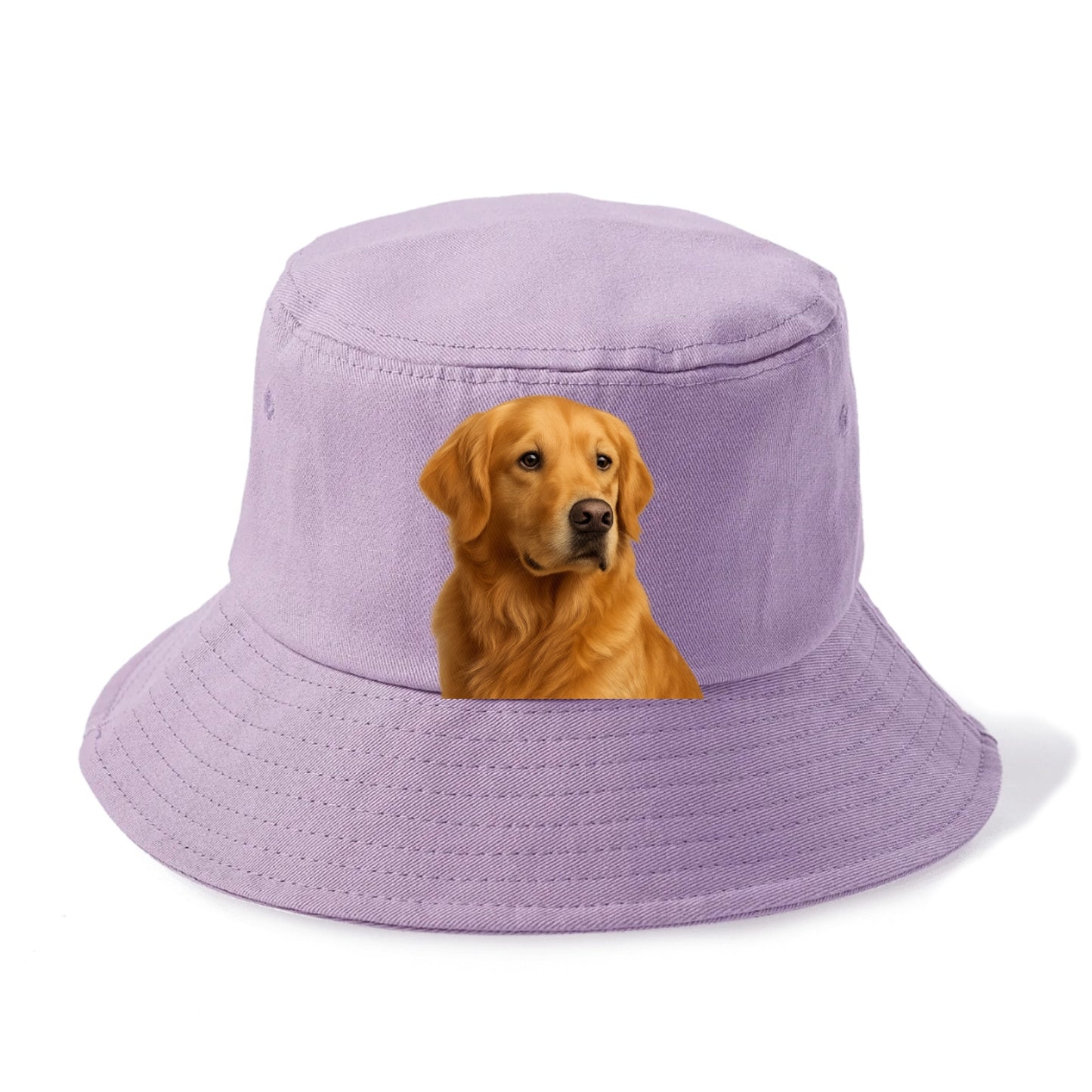 golden retriever loyal companion Hat