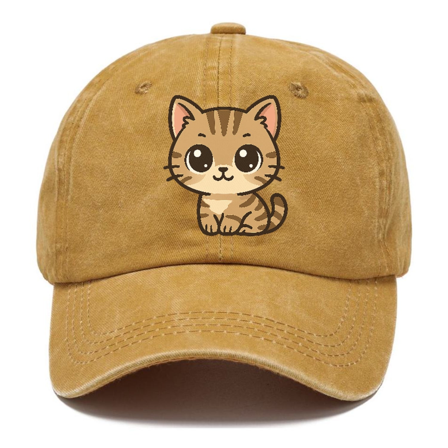 tabby-mix-playful-spirit Hat