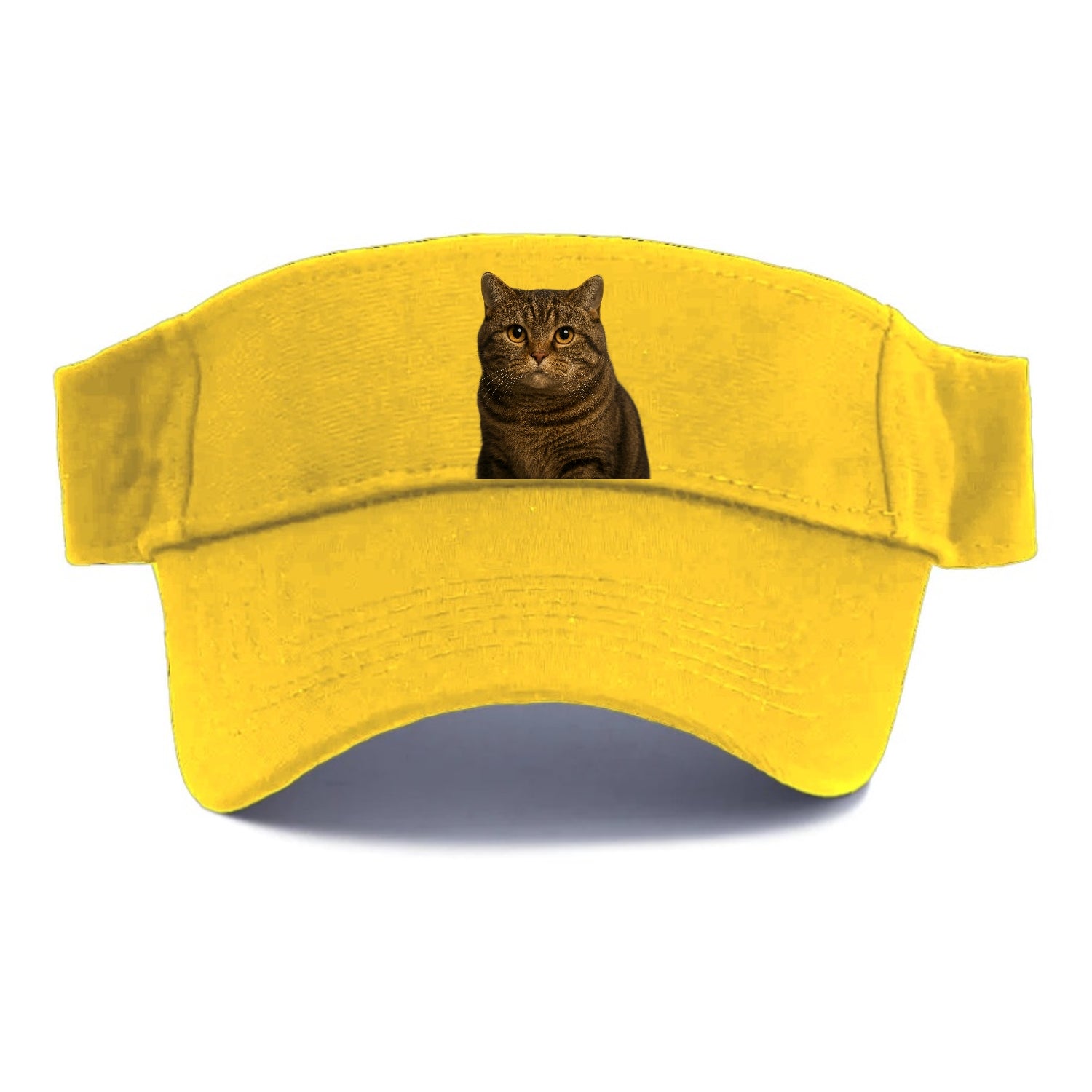 manx-cat-distinct-charm Hat