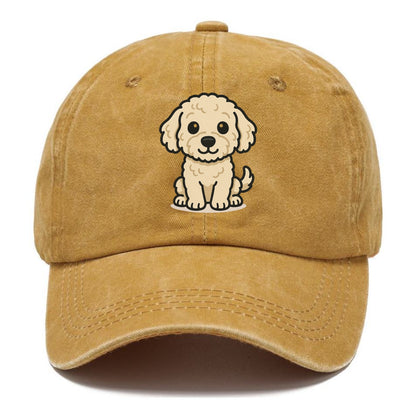 labradoodle curly cream sitting pose portrait design Hat