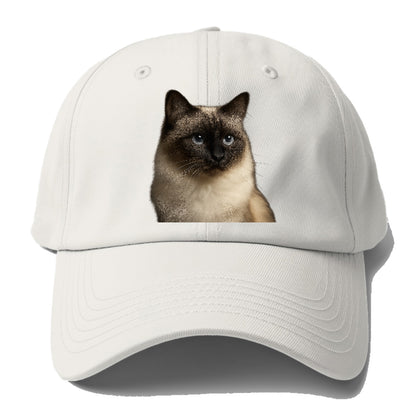 birman-cat-serene-elegance Hat