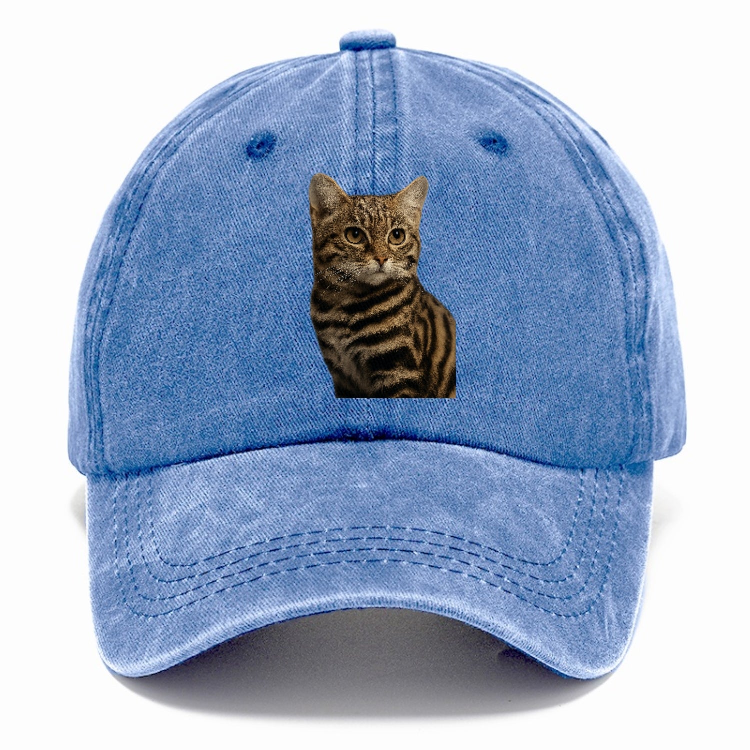 blackfooted-cat-elusive-hunter Hat
