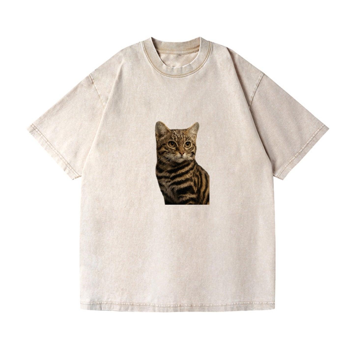 blackfooted-cat-elusive-hunter Hat