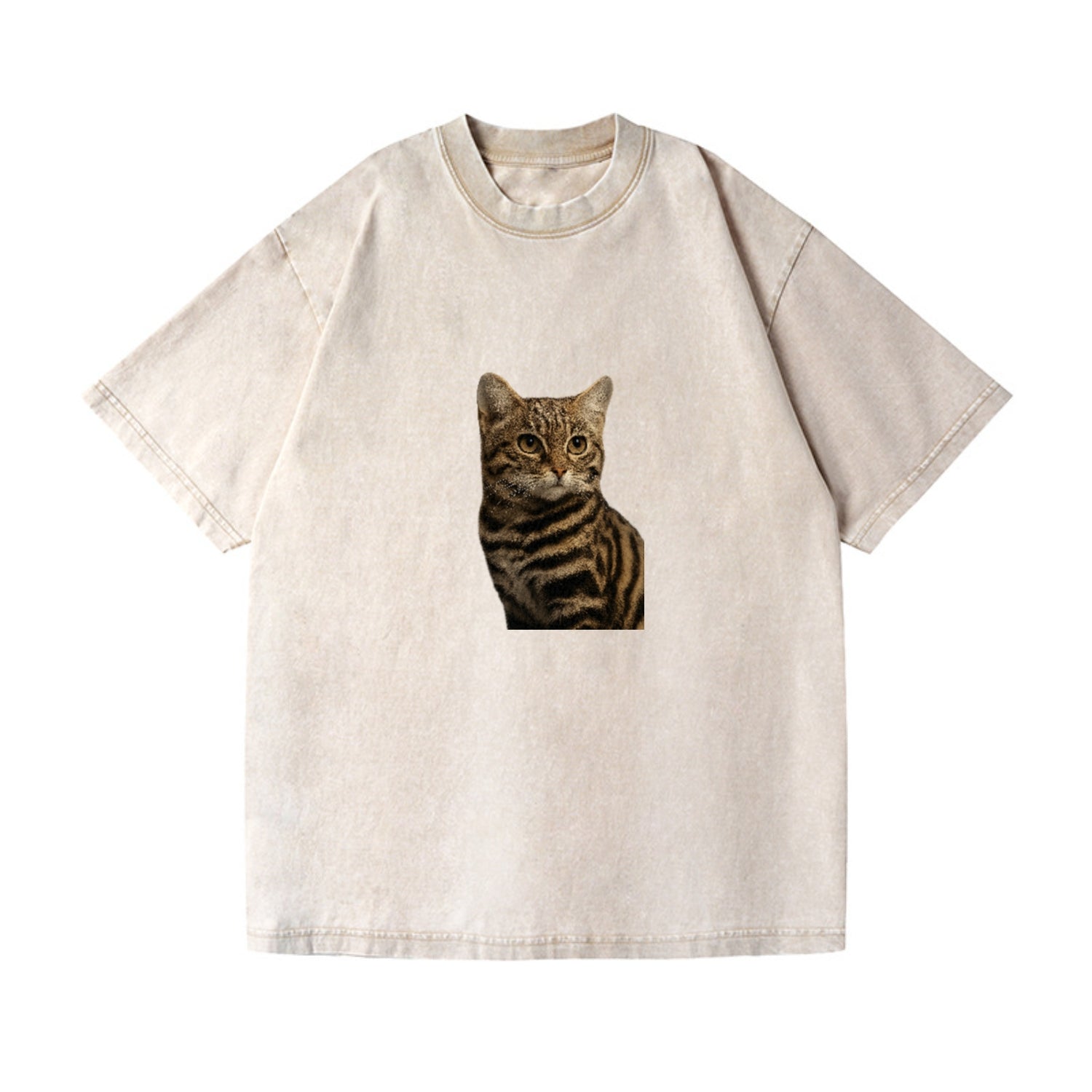 blackfooted-cat-elusive-hunter Hat