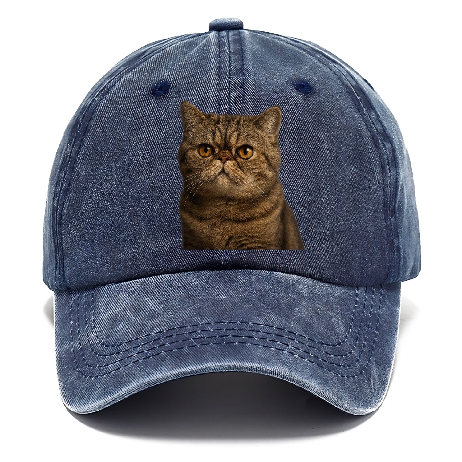 exotic-shorthair-charm Hat