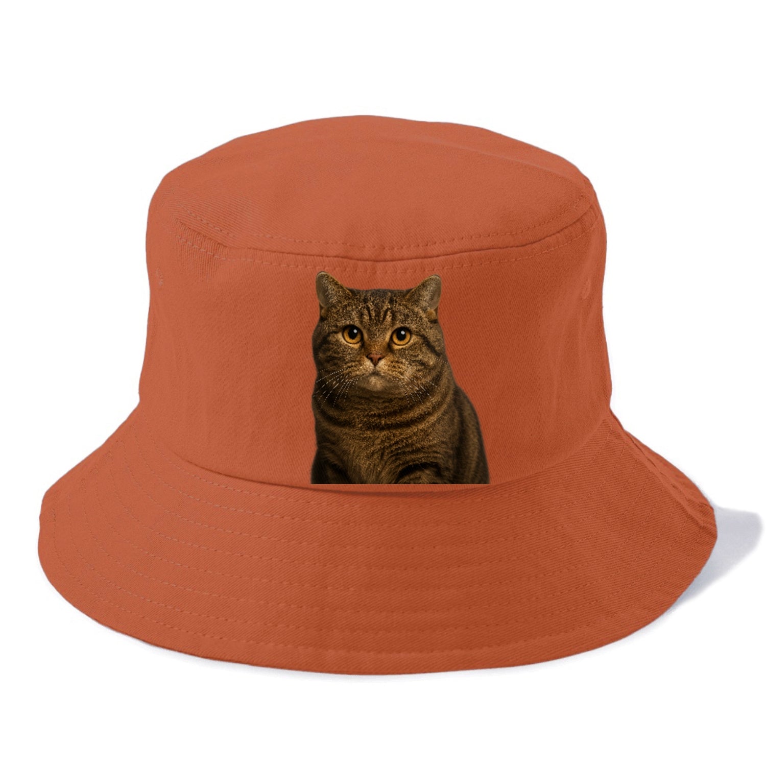 manx-cat-distinct-charm Hat