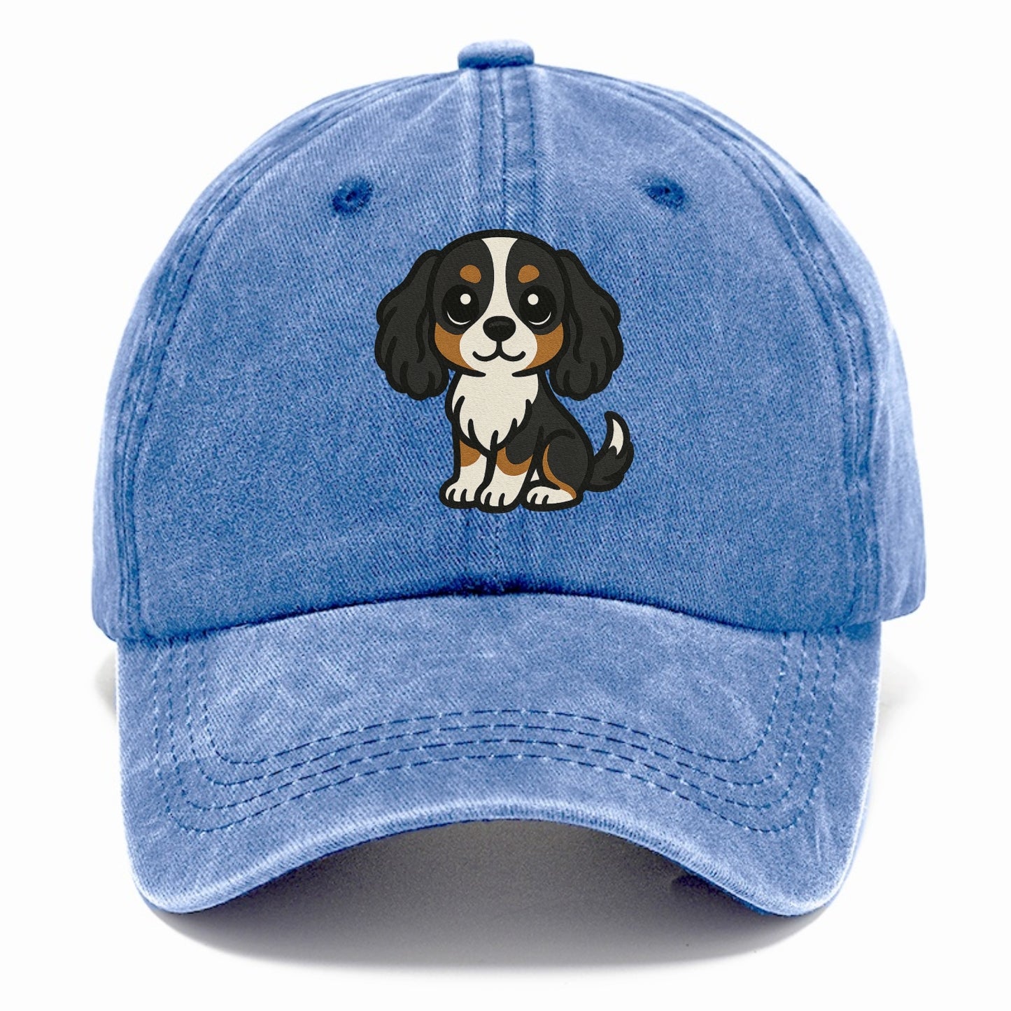 cavalier king charles spaniel tricolor sitting pose portrait design Hat