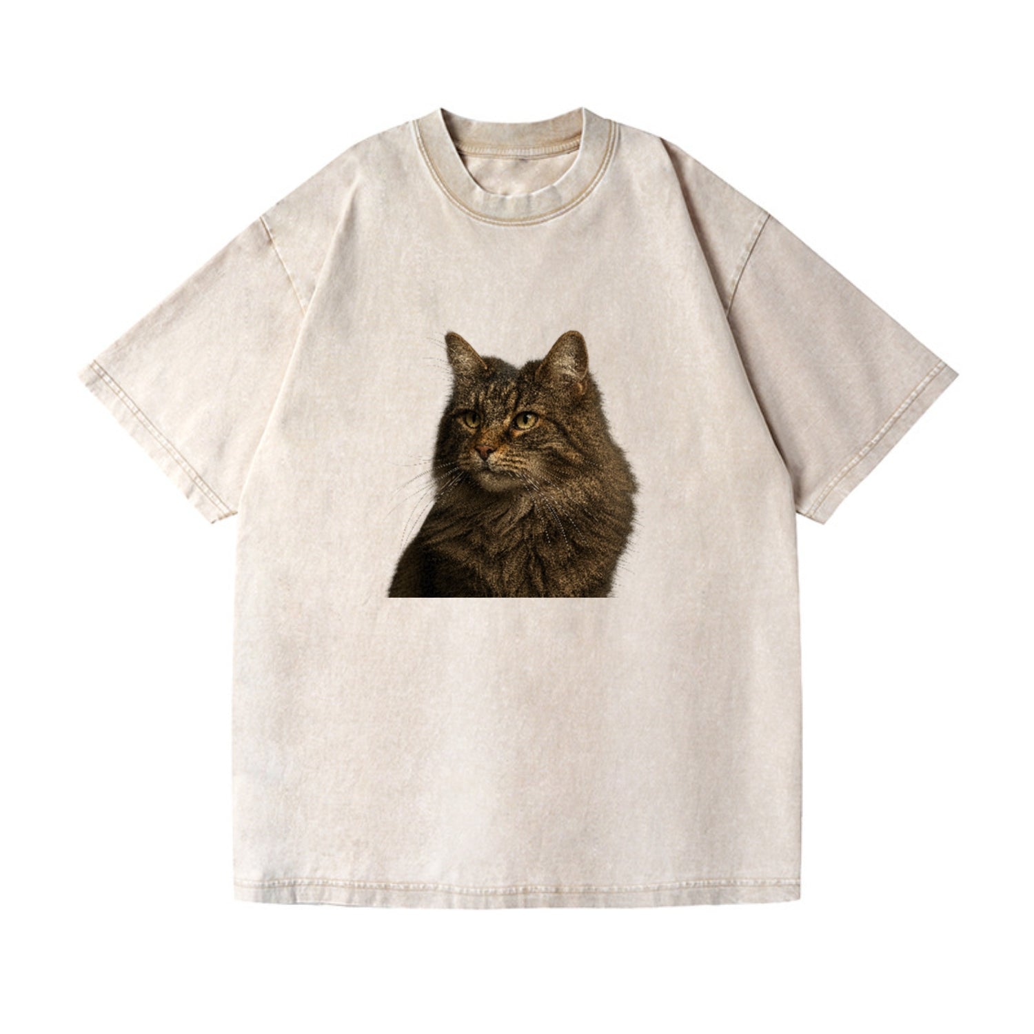 norwegian-forest-cat-wild-majesty Hat