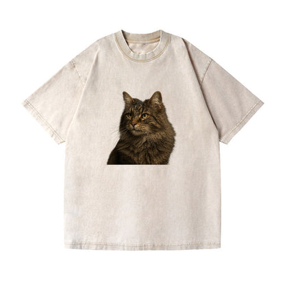 norwegian-forest-cat-wild-majesty Hat