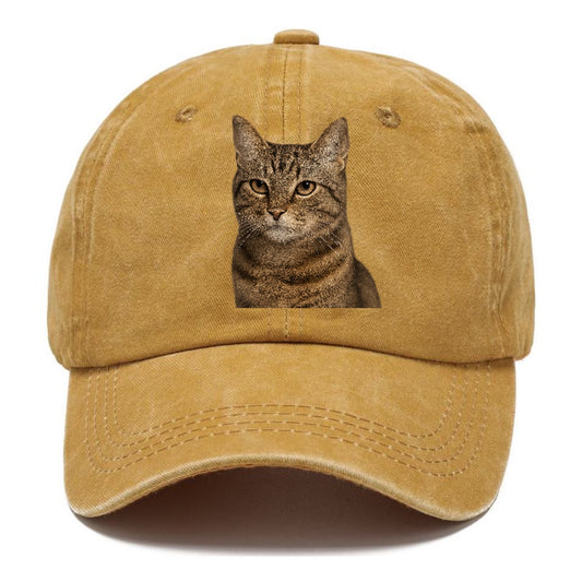 content-cat-peaceful-purr Hat