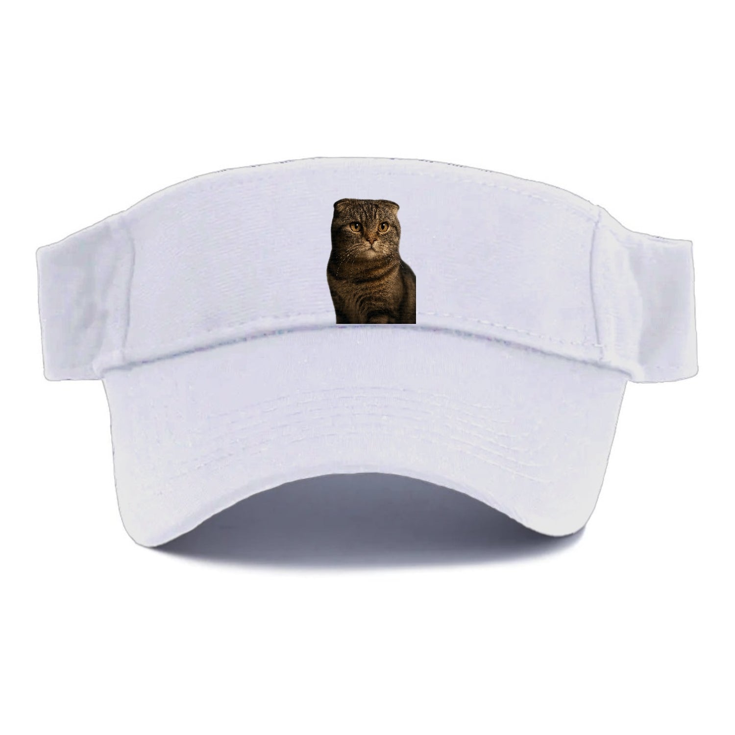 scottish-fold-curious-charm Hat
