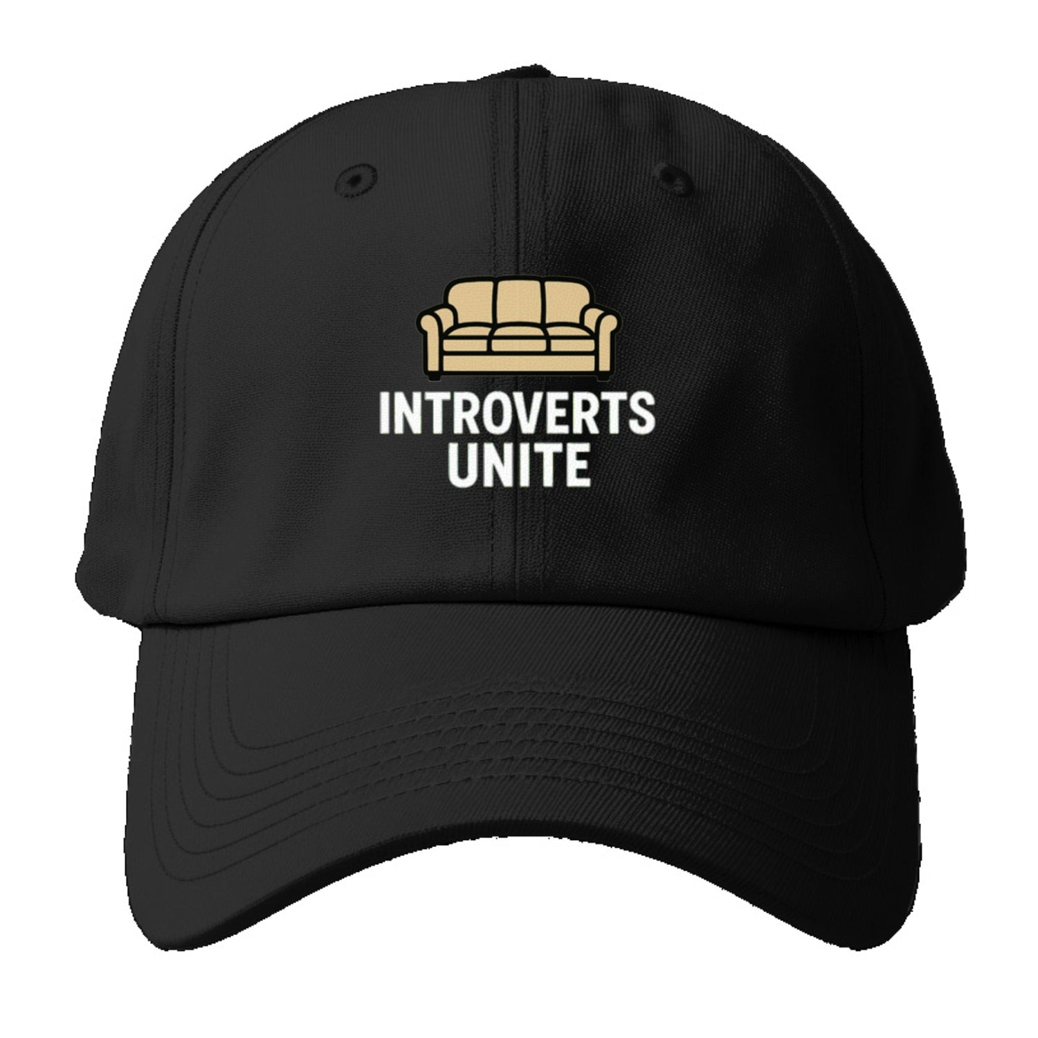 introverts unite couch Hat