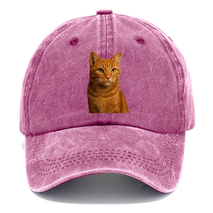 orange-tabby-cozy-companion Hat
